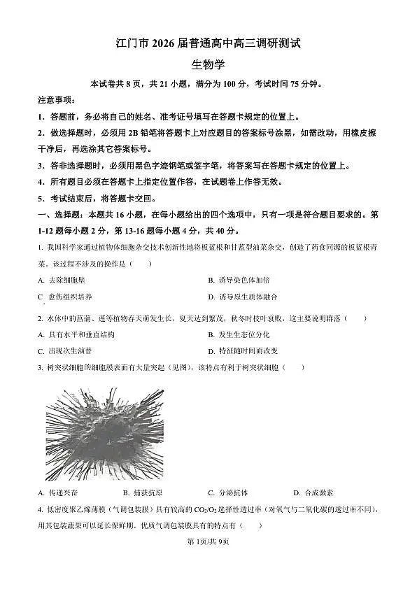 18117324第1页