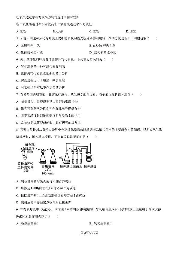 18117324第2页
