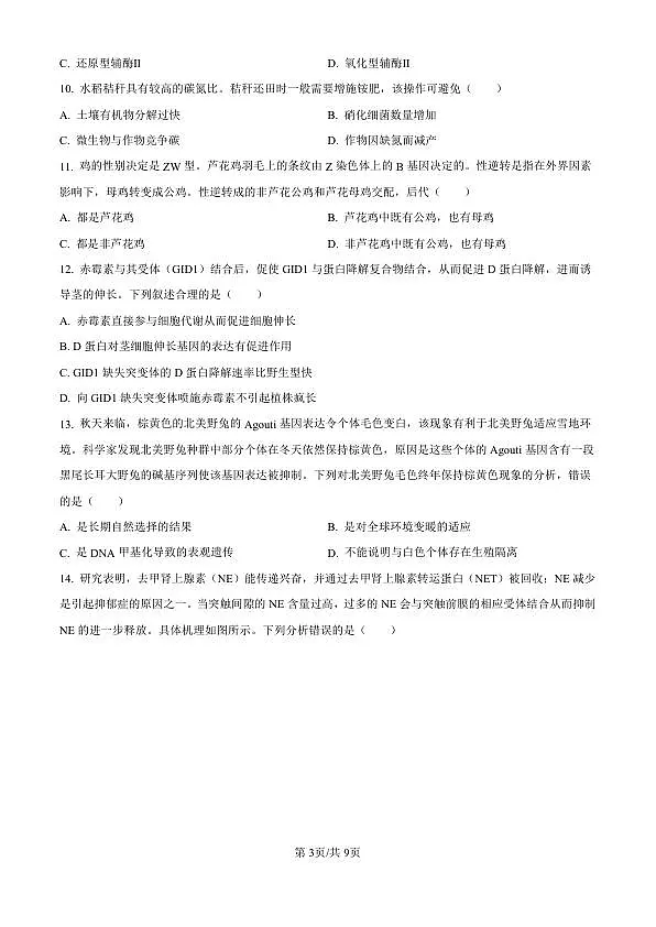 18117324第3页