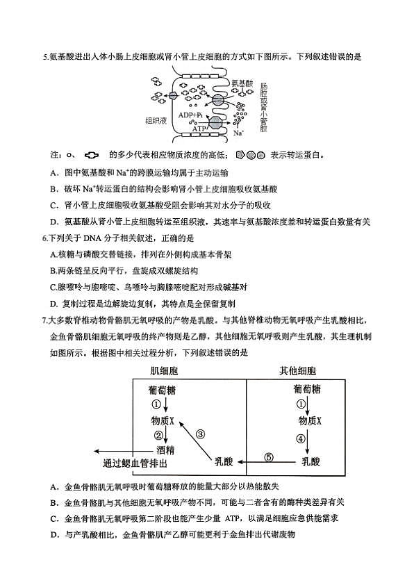 18117335第2页