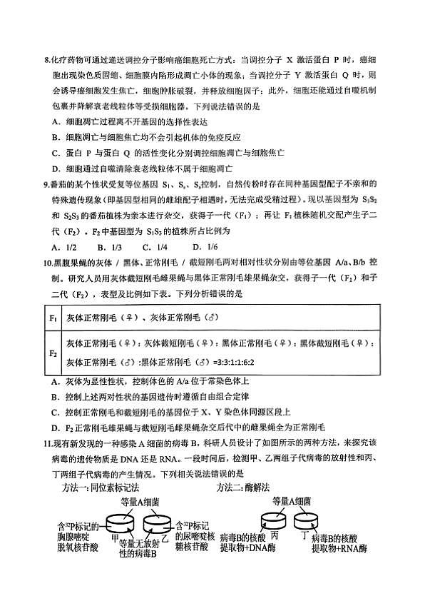 18117335第3页
