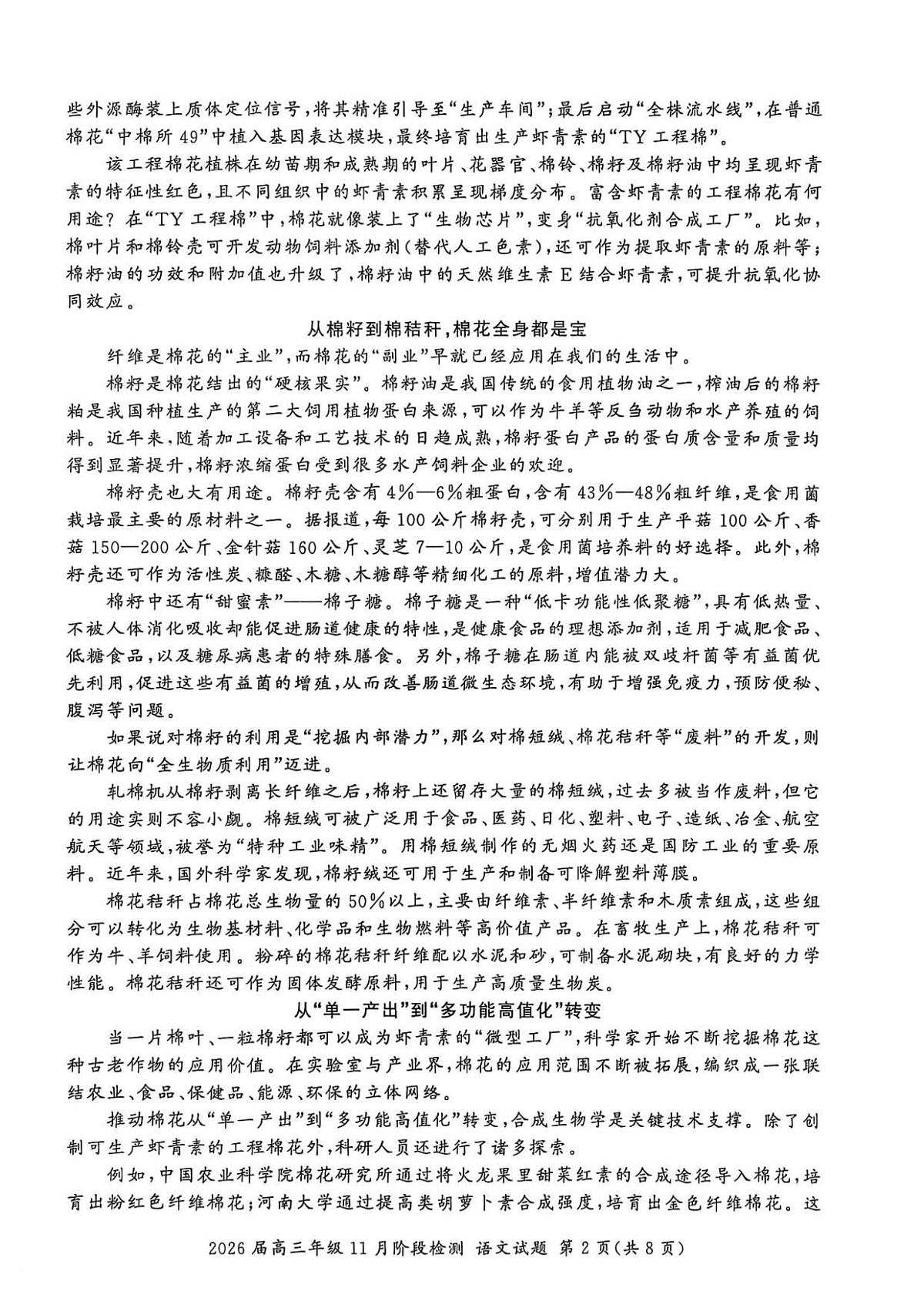 18117338第2页