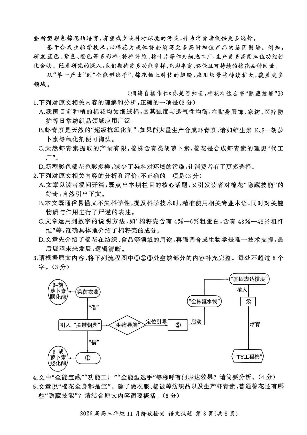 18117338第3页