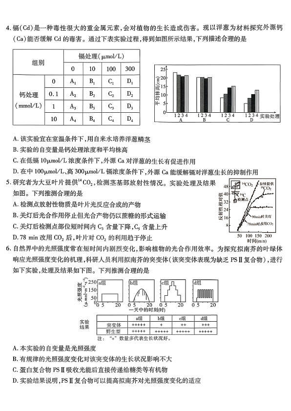 18117385第2页