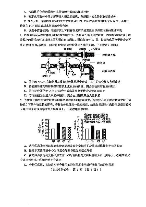 18117387第3页