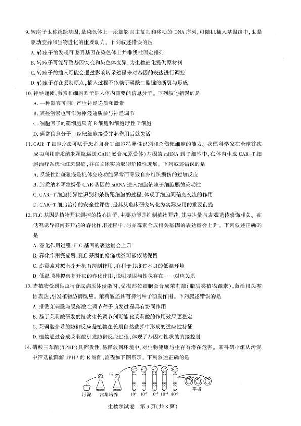 18117388第3页