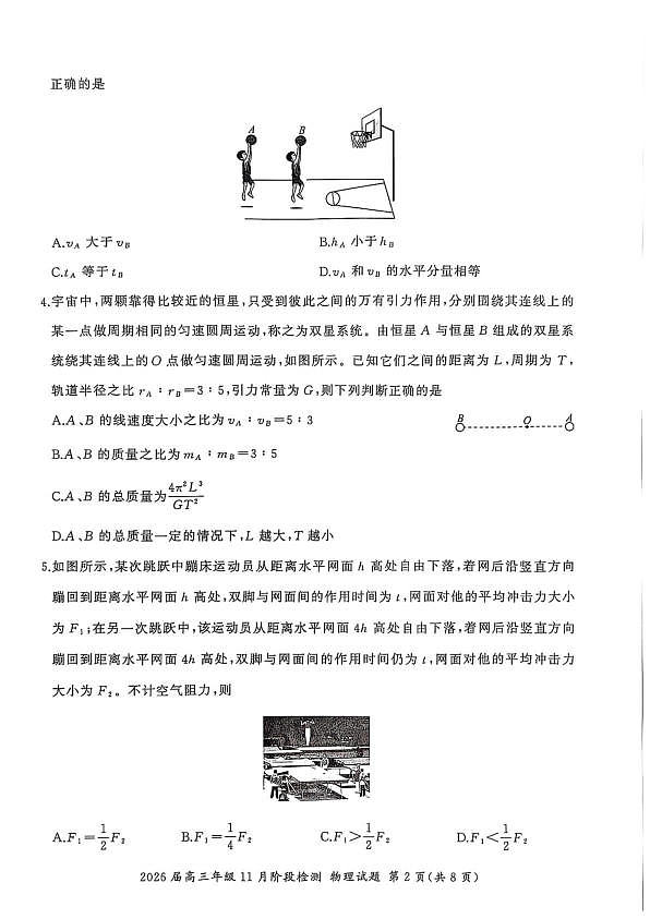 18117403第2页