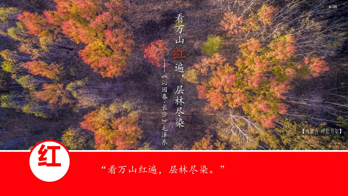 18117504第3页