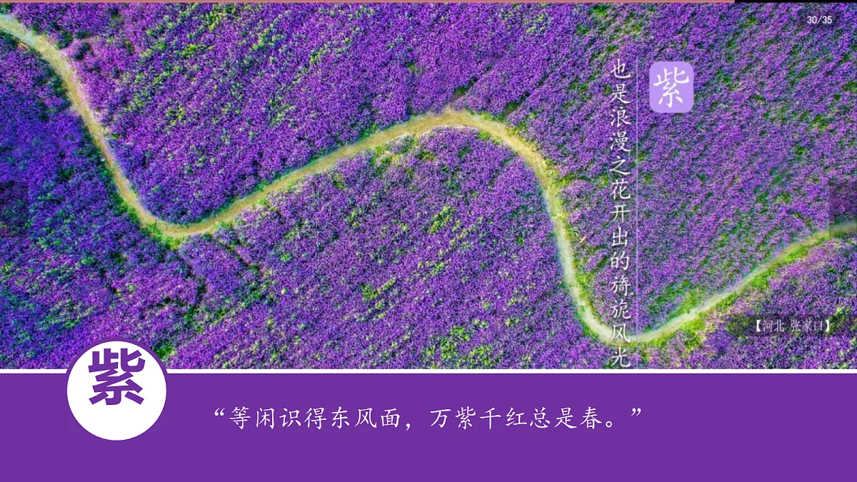 18117504第7页