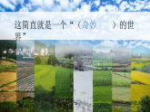 统编版语文三年级下册课件《24 我们奇妙的世界》