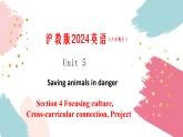 Unit 5 课时5 Section 4 Focusing on culture Project（课件）-2025-2026年八年级英语下册（沪教版2024）