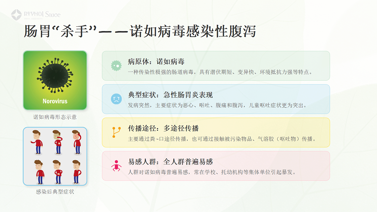 18118155第7页