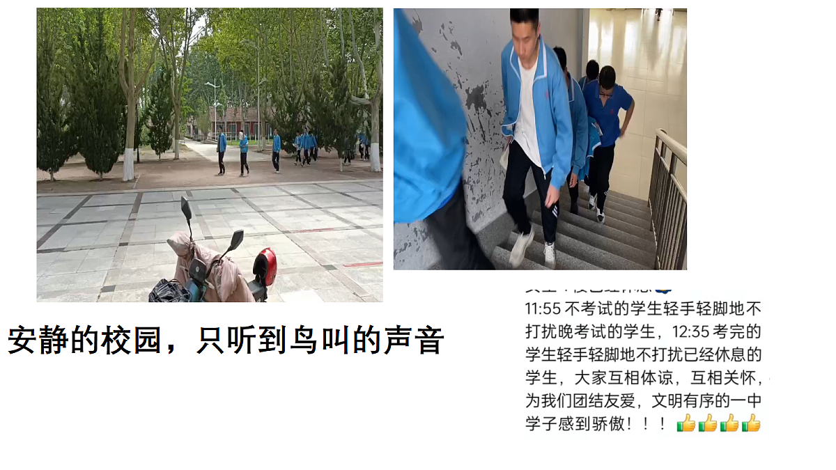 18118164第2页