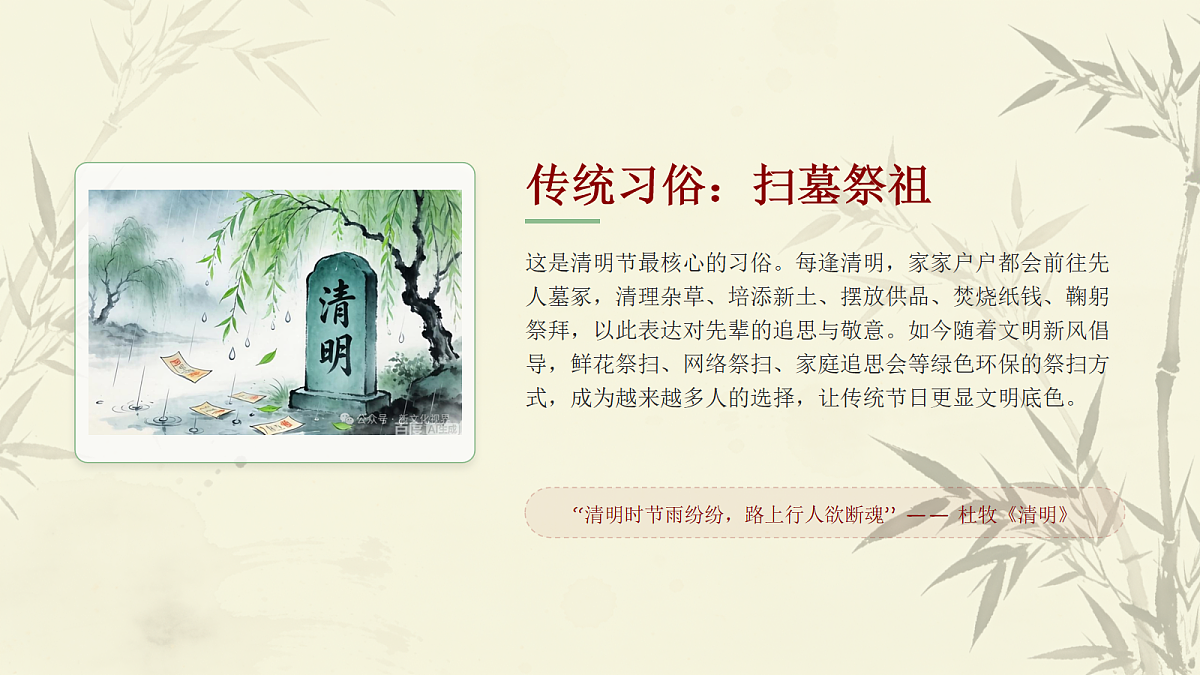 18118173第5页
