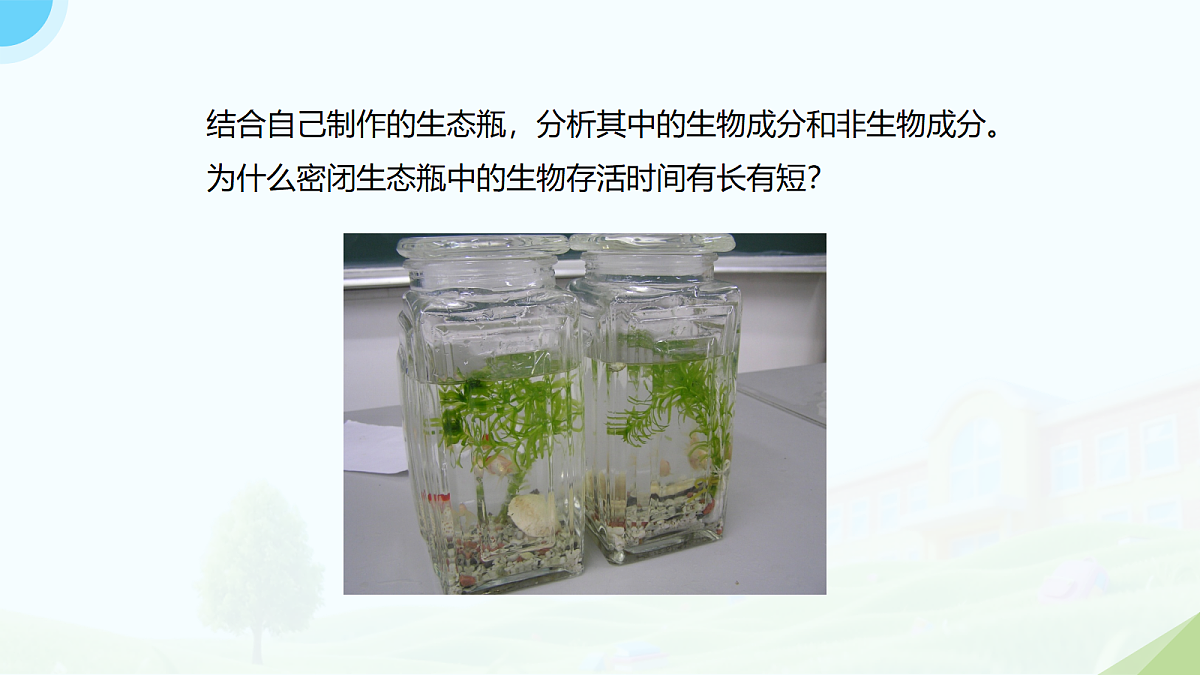 18118274第4页