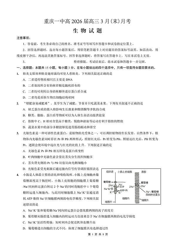 18118718第1页