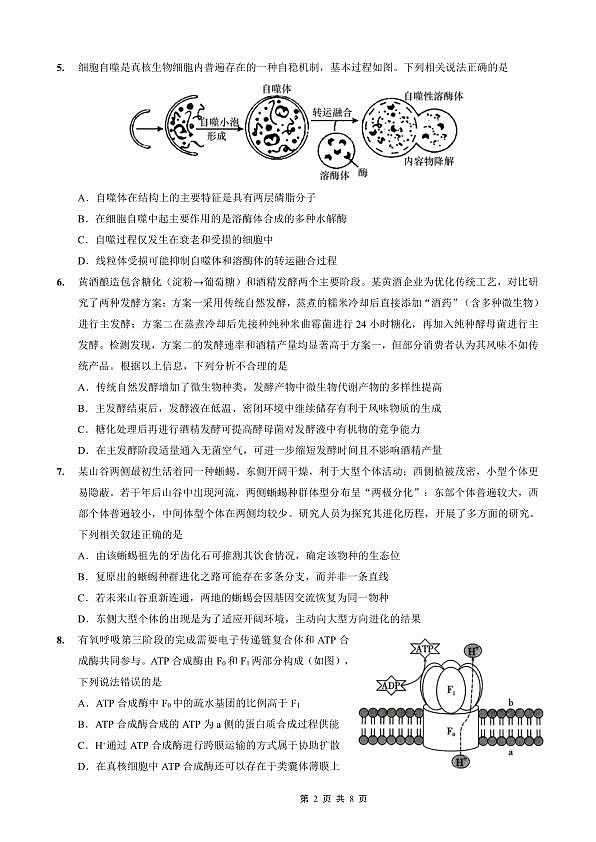 18118718第2页