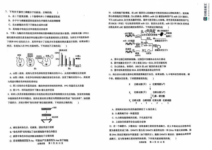 2025黑龙江省哈尔滨三中高三上学期期中考试-生物试卷第2页