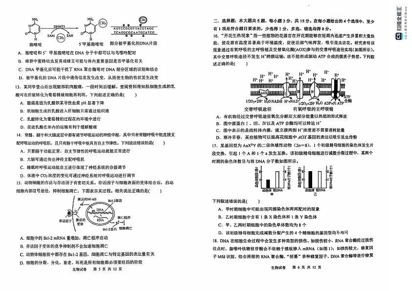 2025黑龙江省哈尔滨三中高三上学期期中考试-生物试卷第3页
