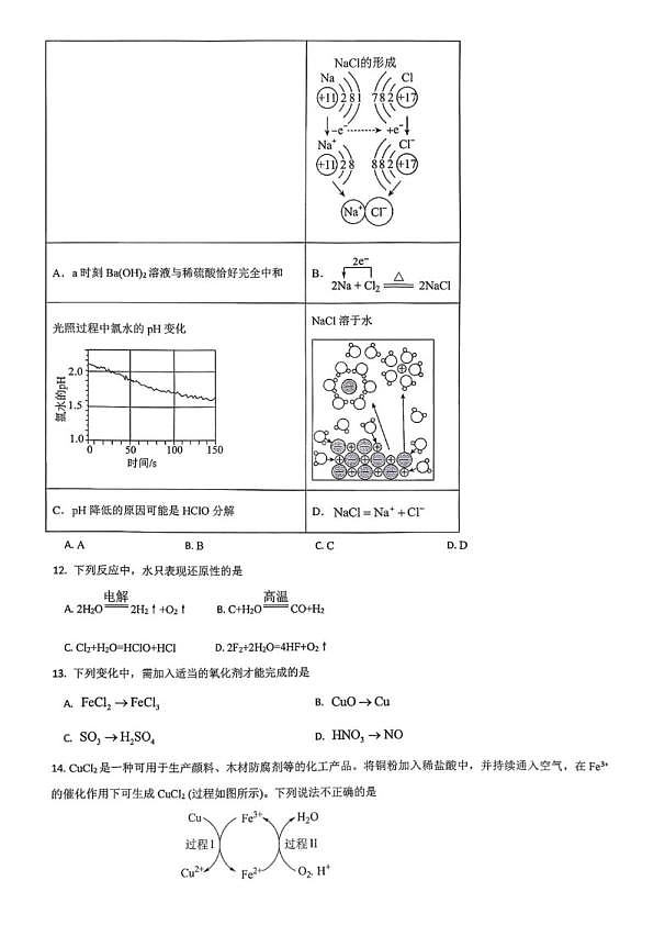 18119253第3页
