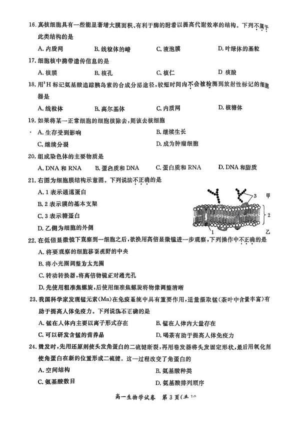 18119269第3页
