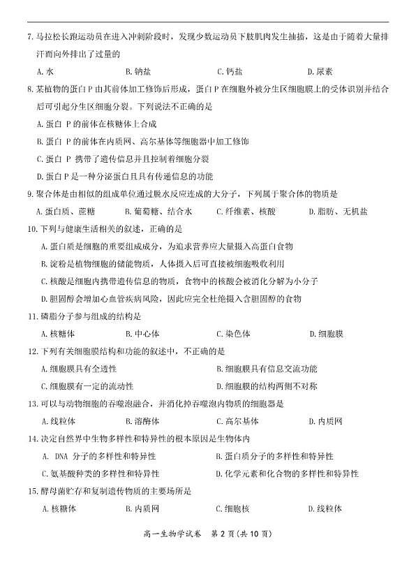 18119270第2页