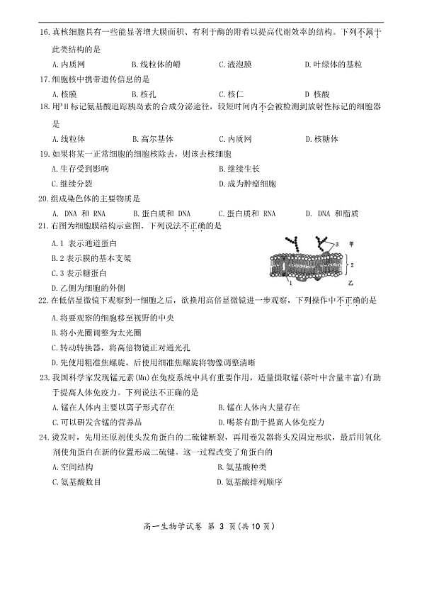 18119270第3页
