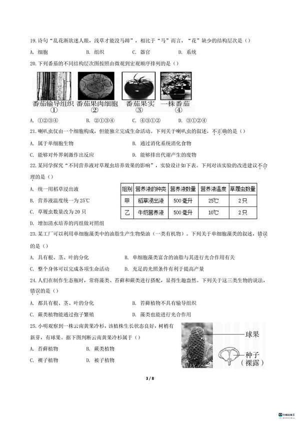 18119274第3页