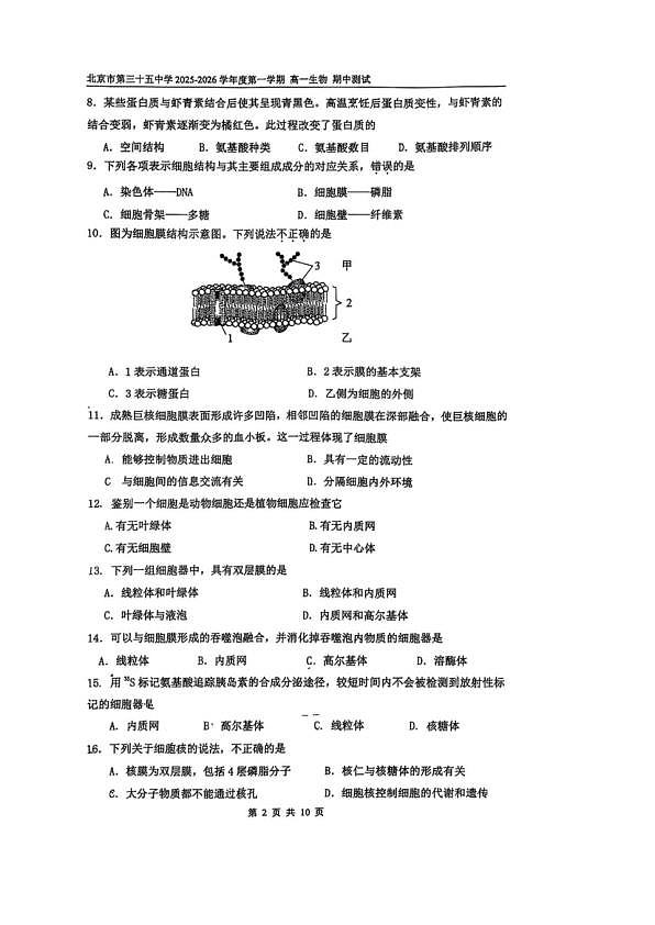 18119337第2页