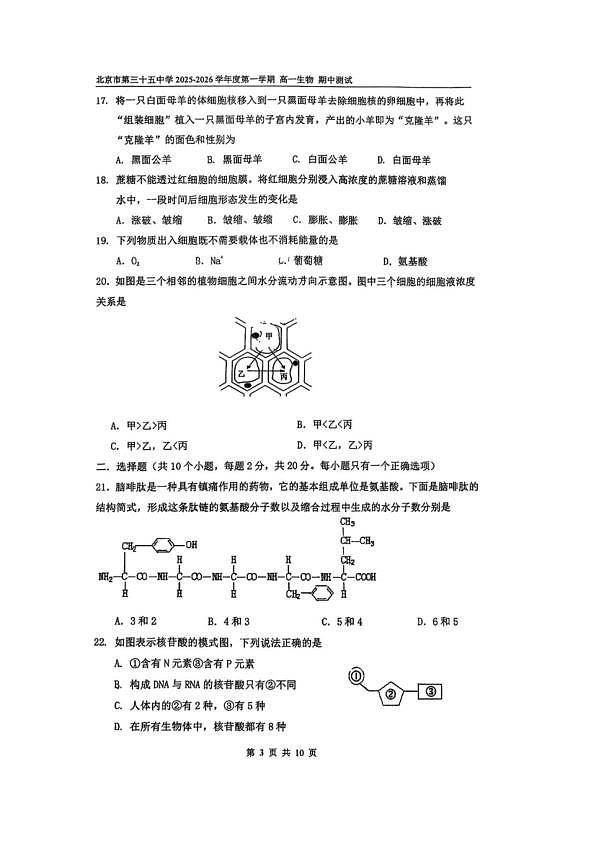 18119337第3页