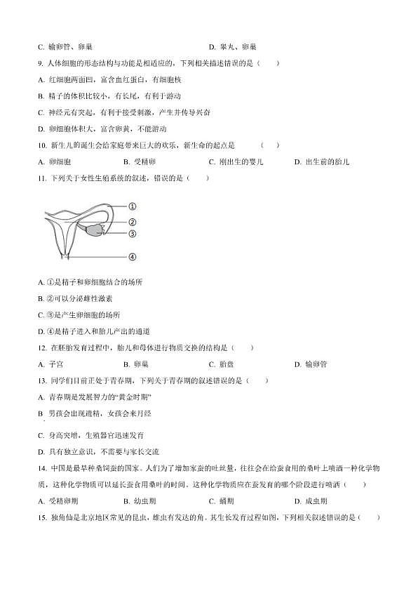 18119482第3页