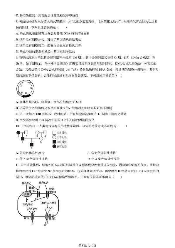 18119598第3页