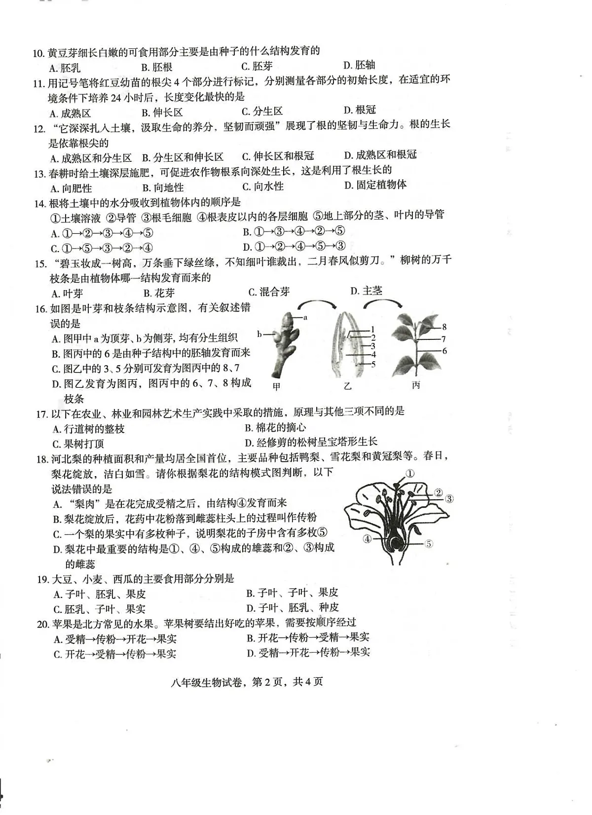 18119620第2页