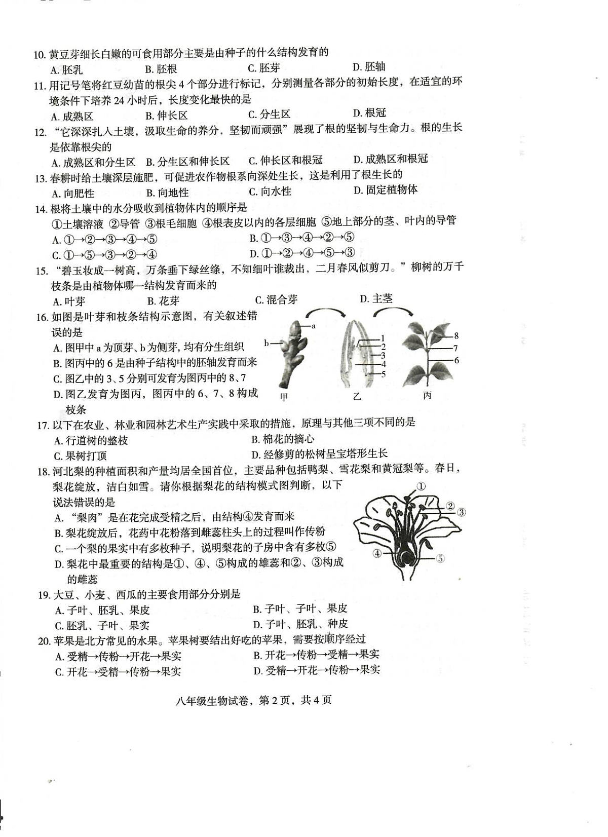 18119620第2页