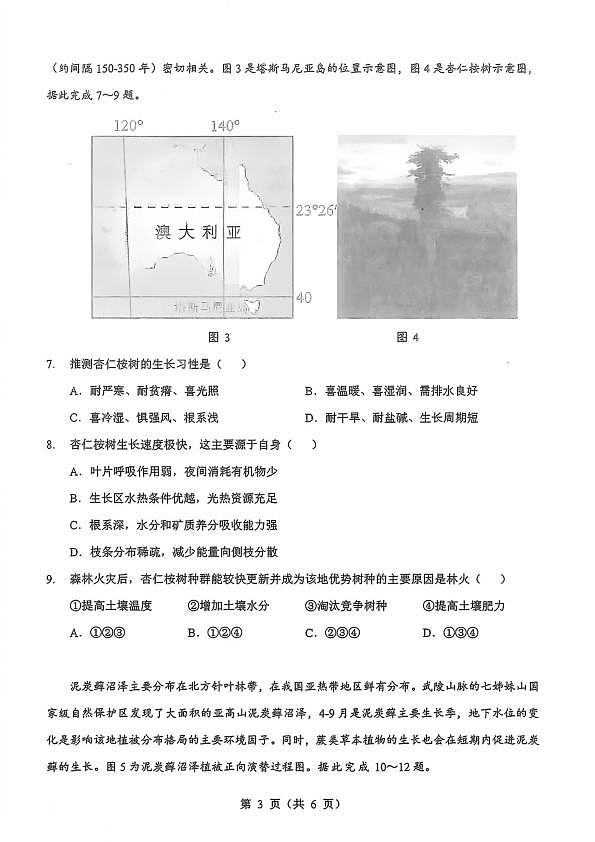 18119845第3页
