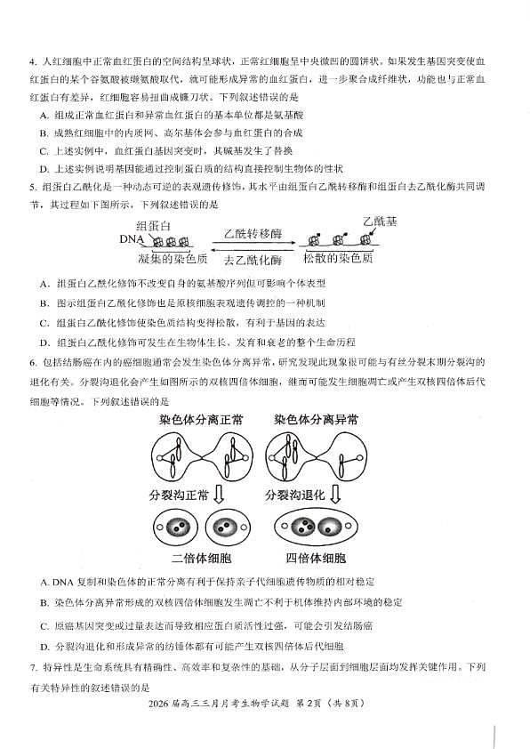 生物试卷-湖北省2026届高三十一校第二次联考试题答案（3月）第2页