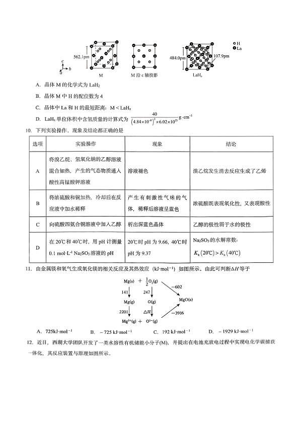 18120364第3页