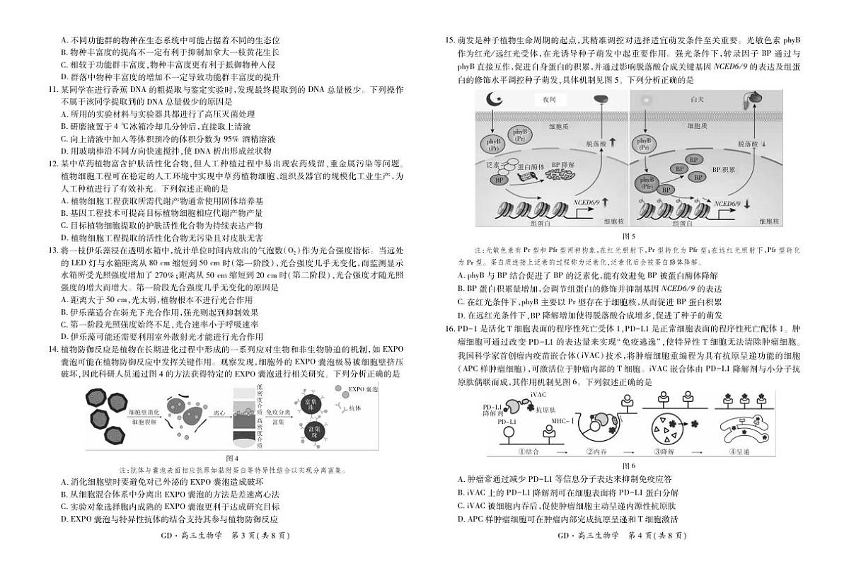 18121001第2页