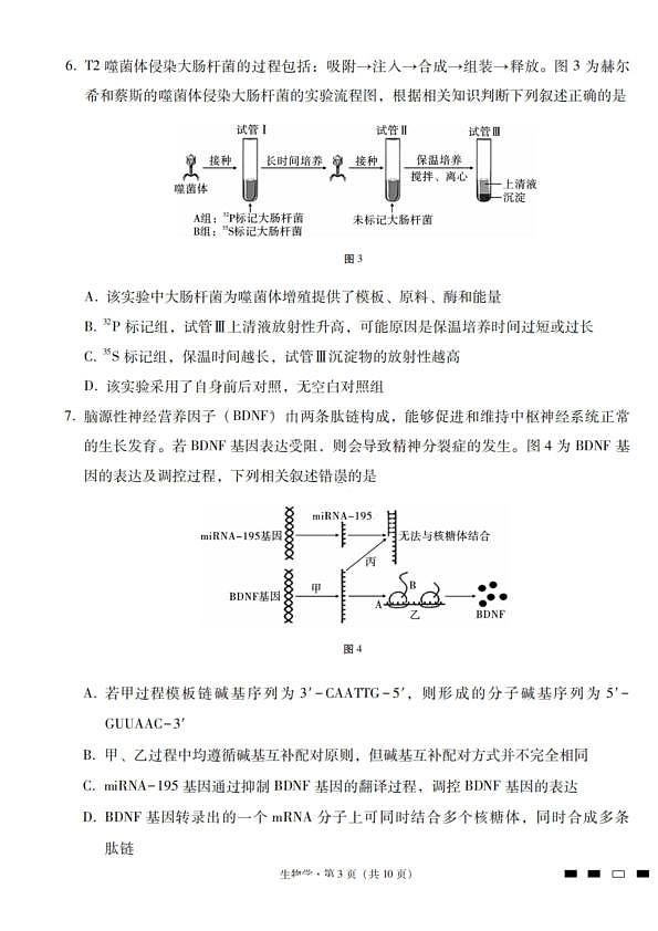 18121088第3页