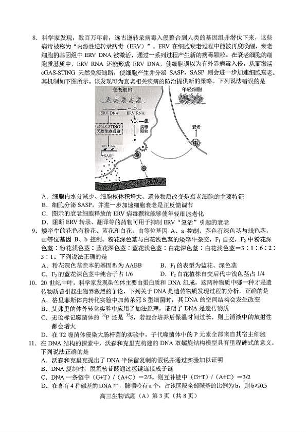 18121094第3页