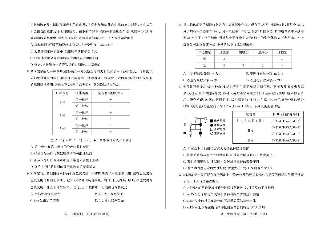 18121099第2页