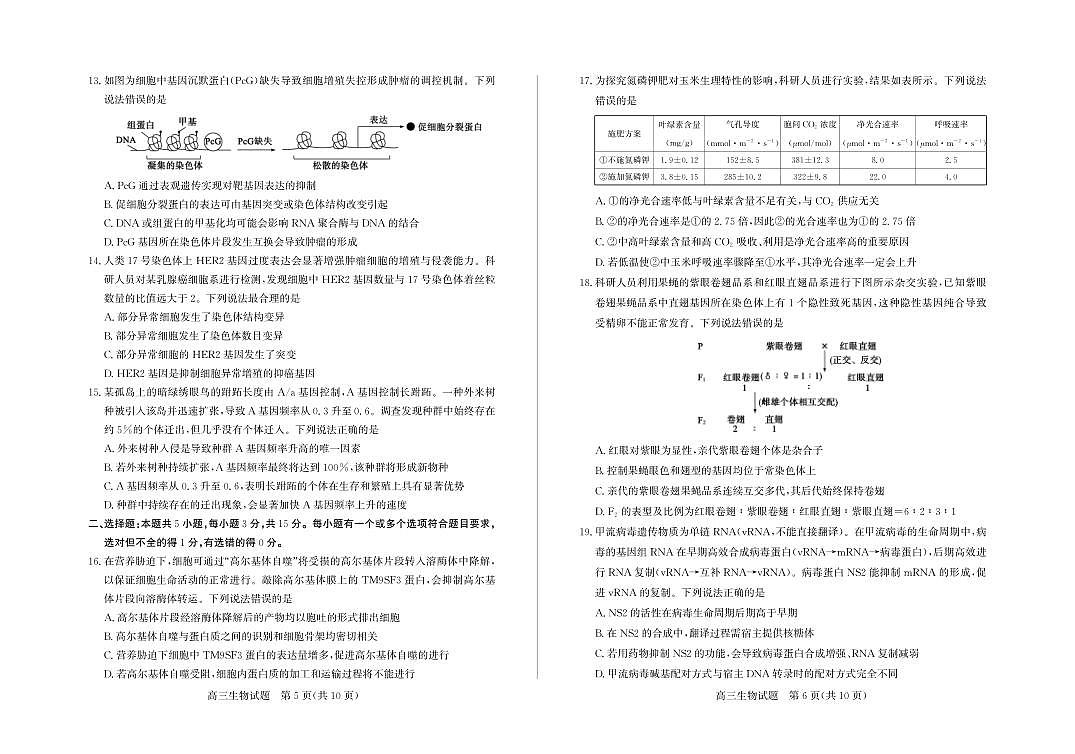18121099第3页