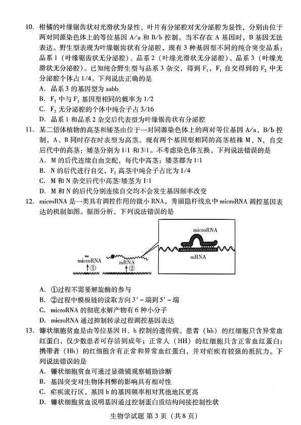 18121100第3页