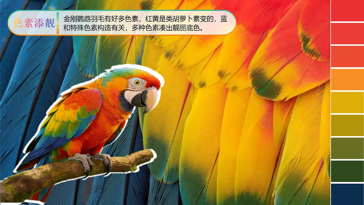 18121429第5页