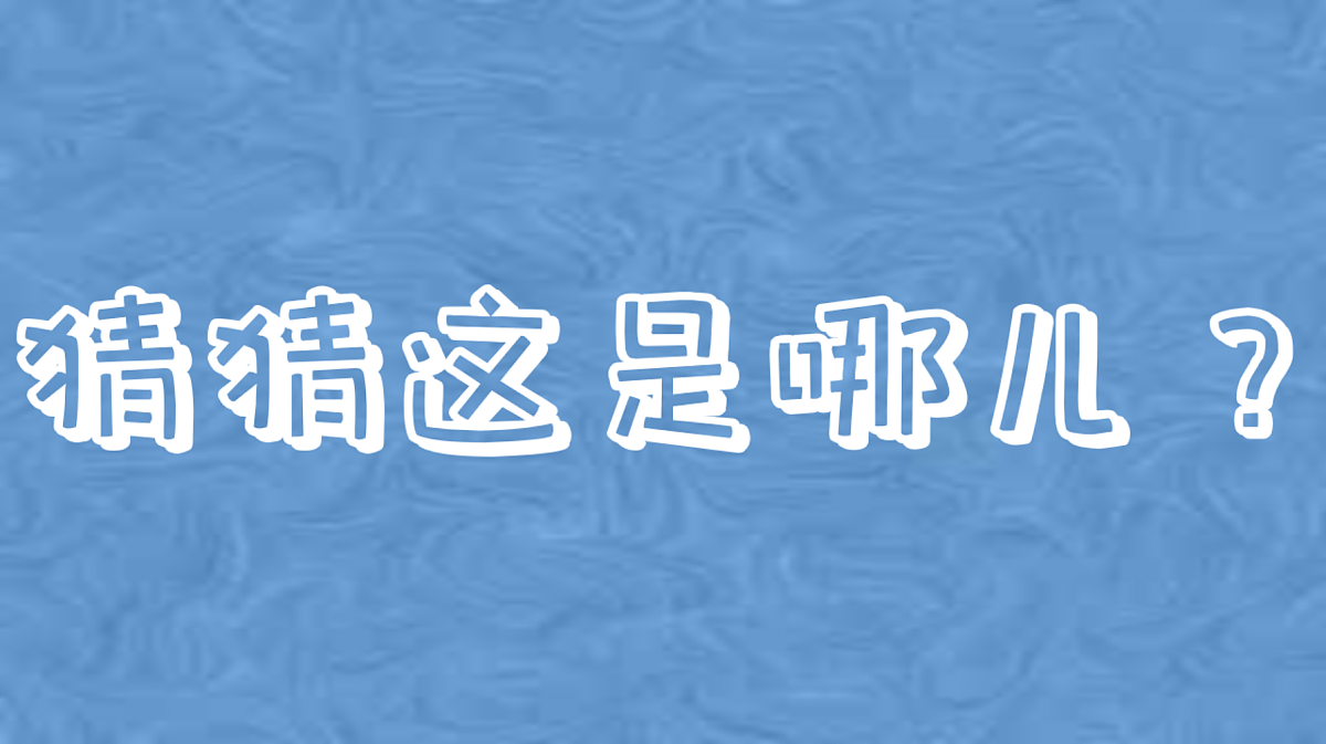 18121556第1页