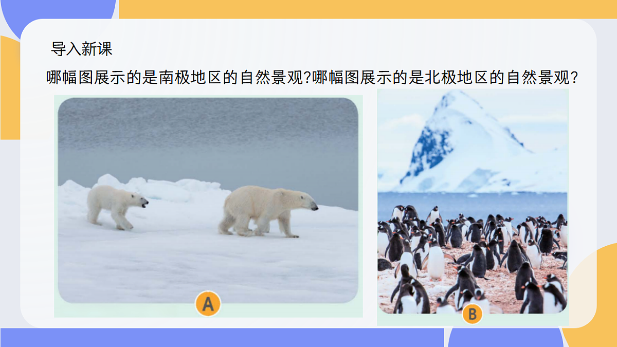 2026地理新教材中图版八年级下册7.5  极地地区（教学课件）第2页