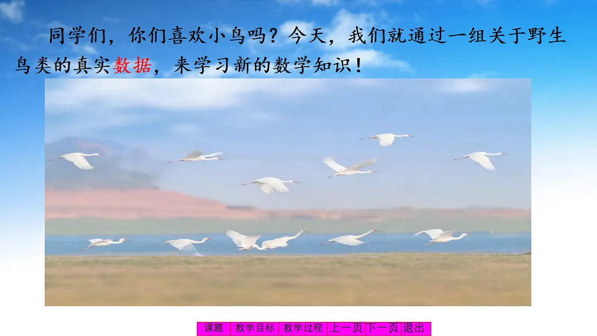 6.2保护野生鸟类第7页