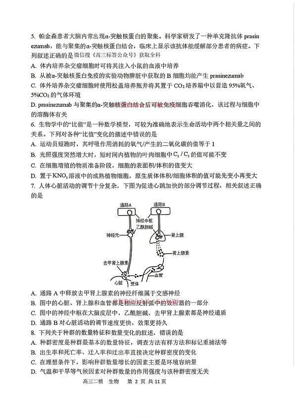 18123144第2页