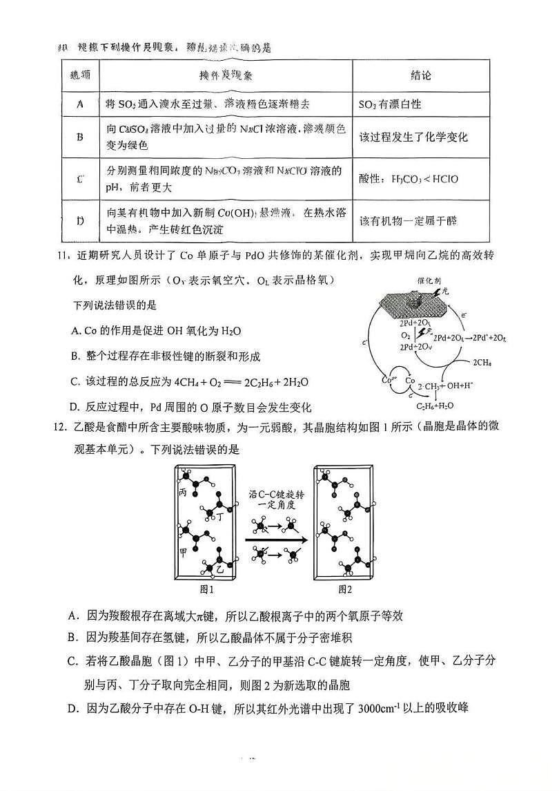 18123279第3页