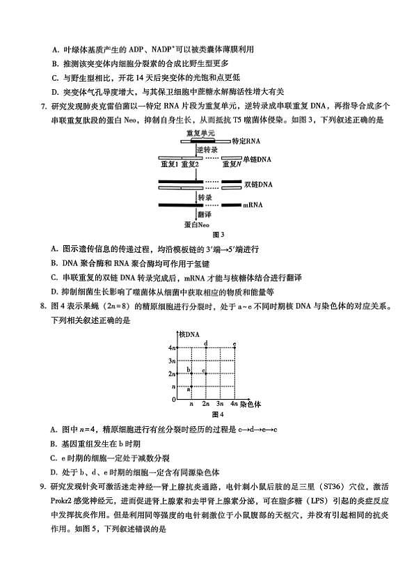18123326第3页
